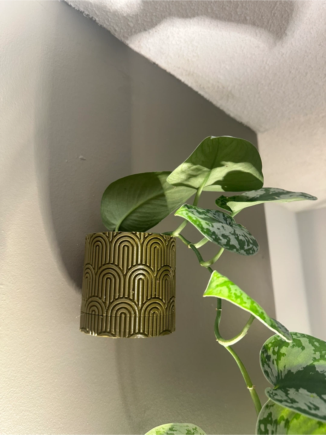 3D Printed Planters