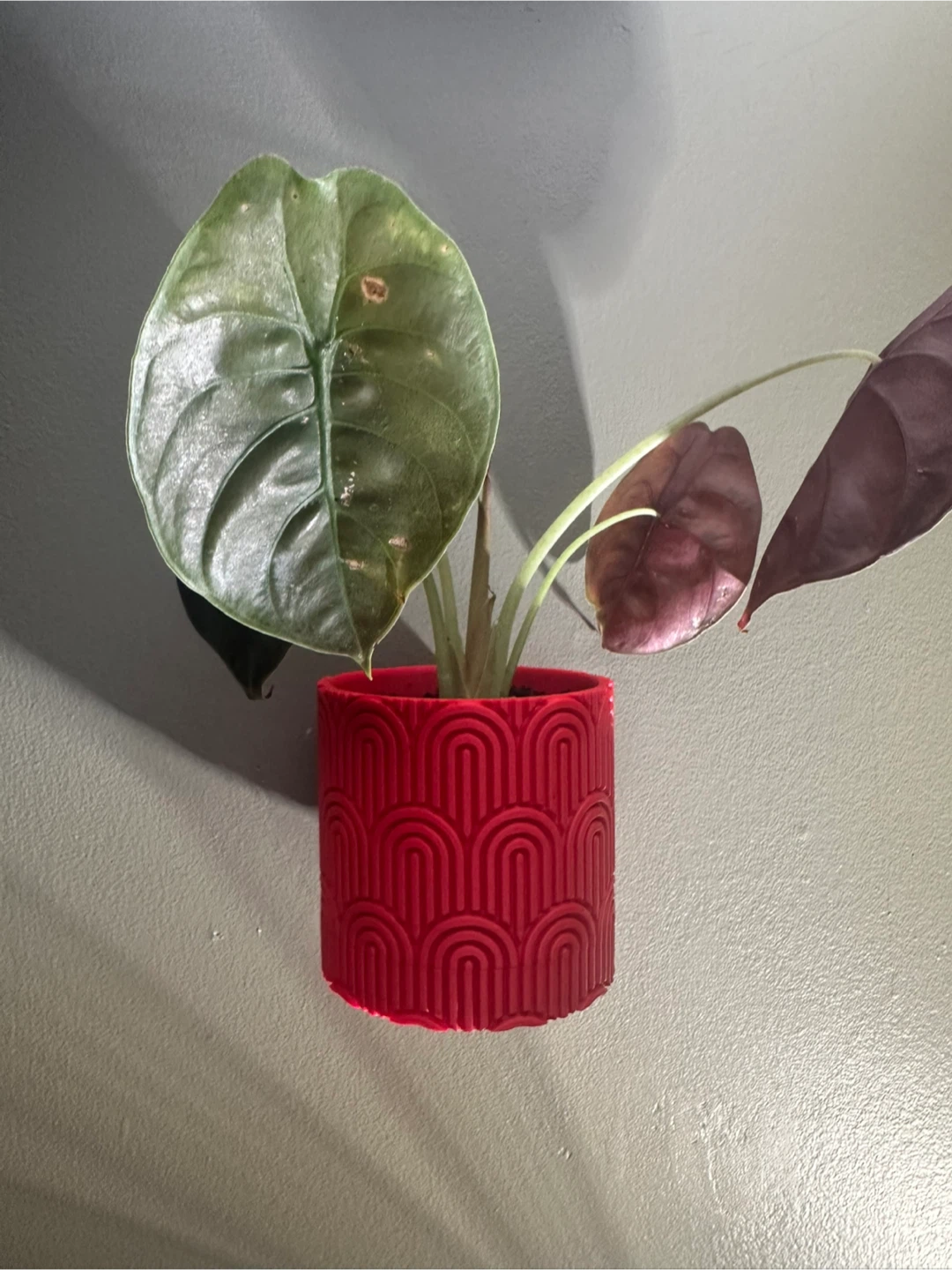 3D Printed Planters - photo 2