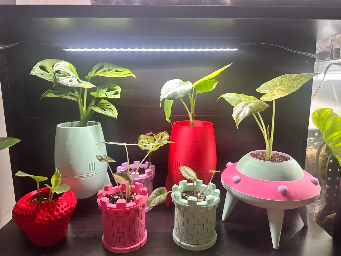 3D Printed Planters - photo 3