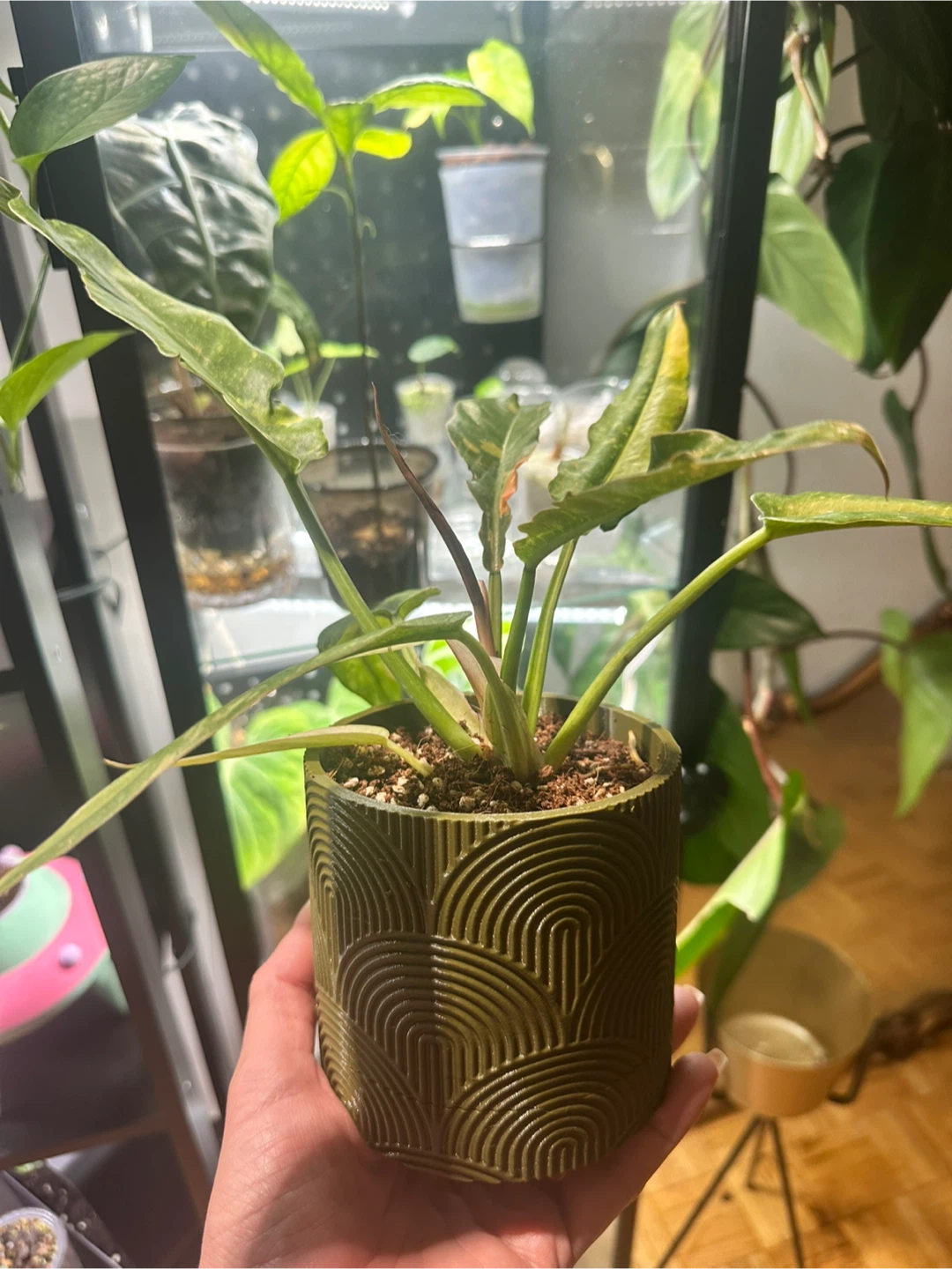 3D Printed Planters - photo 4
