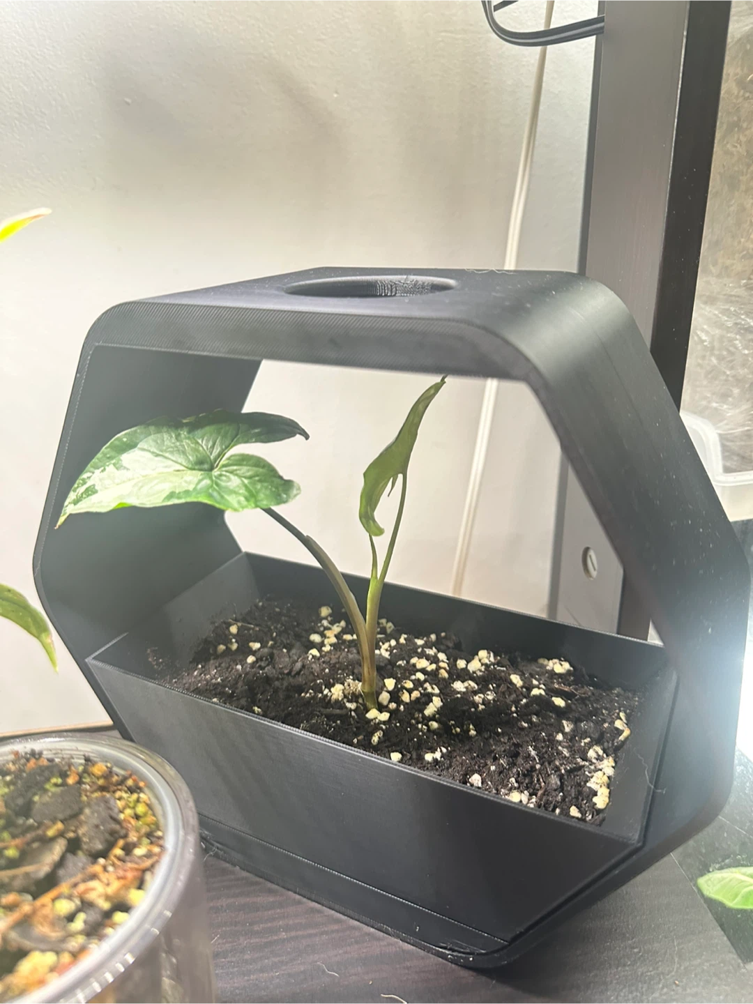 3D Printed Planters - photo 5