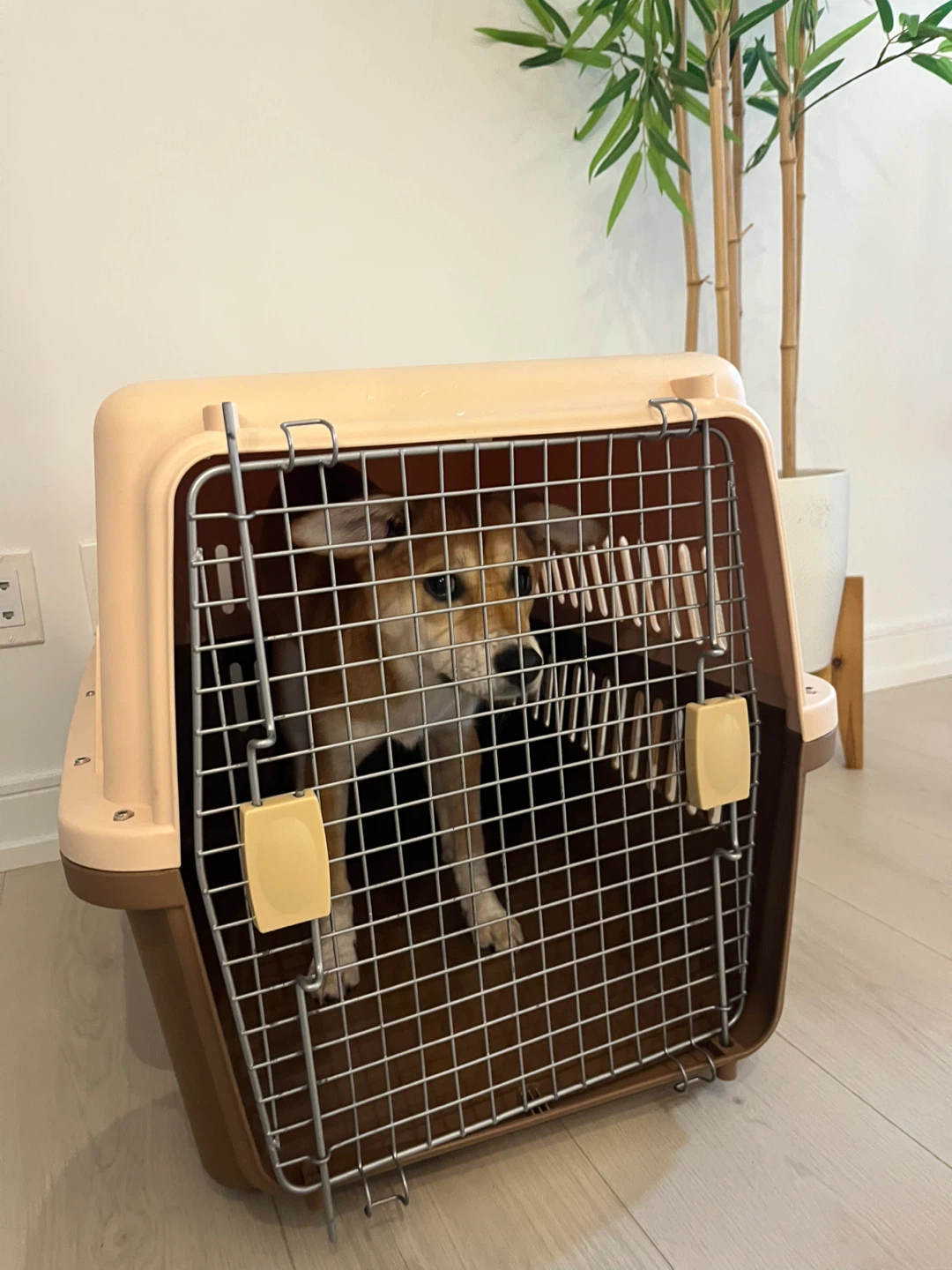 Medium size dig crate