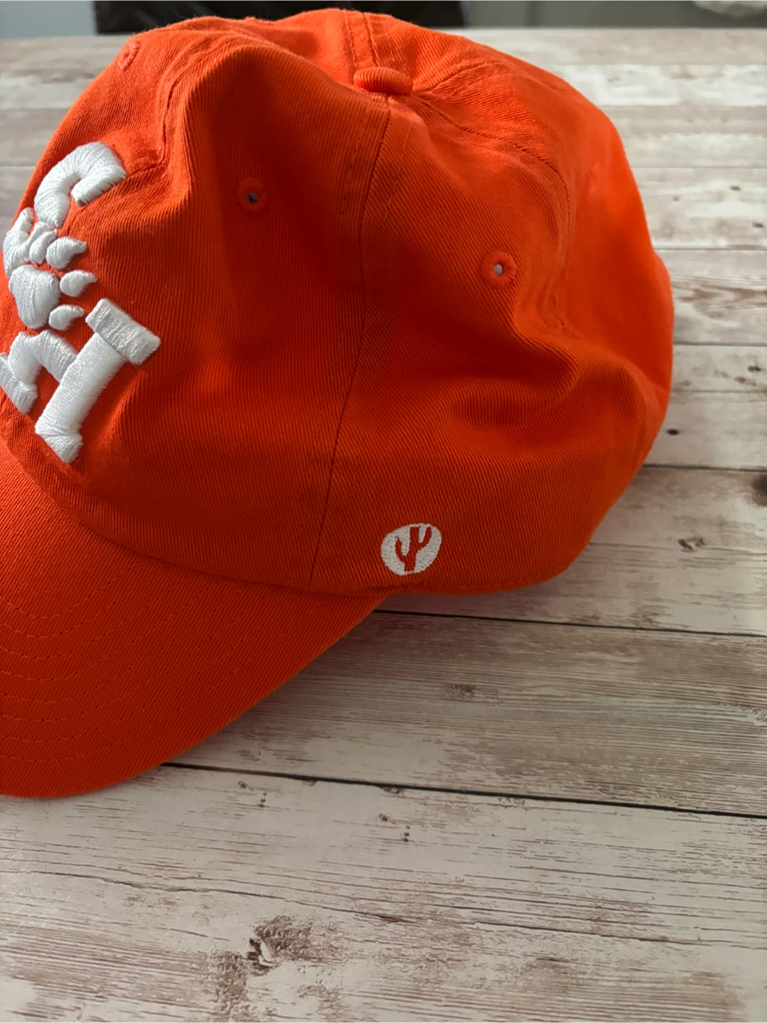 Orange Desert Cactus Baseball Cap - photo 2