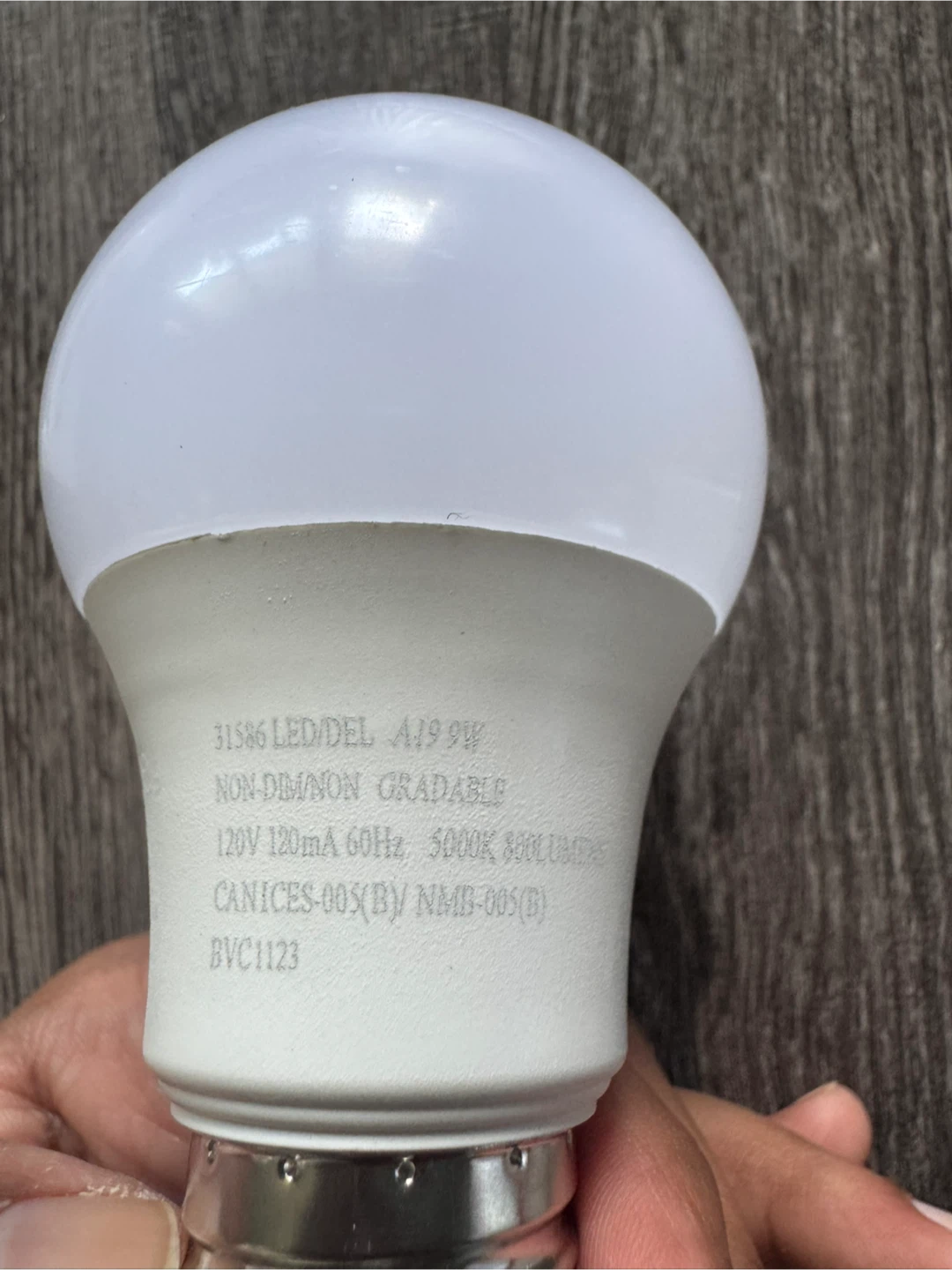 Bulbs - photo 4