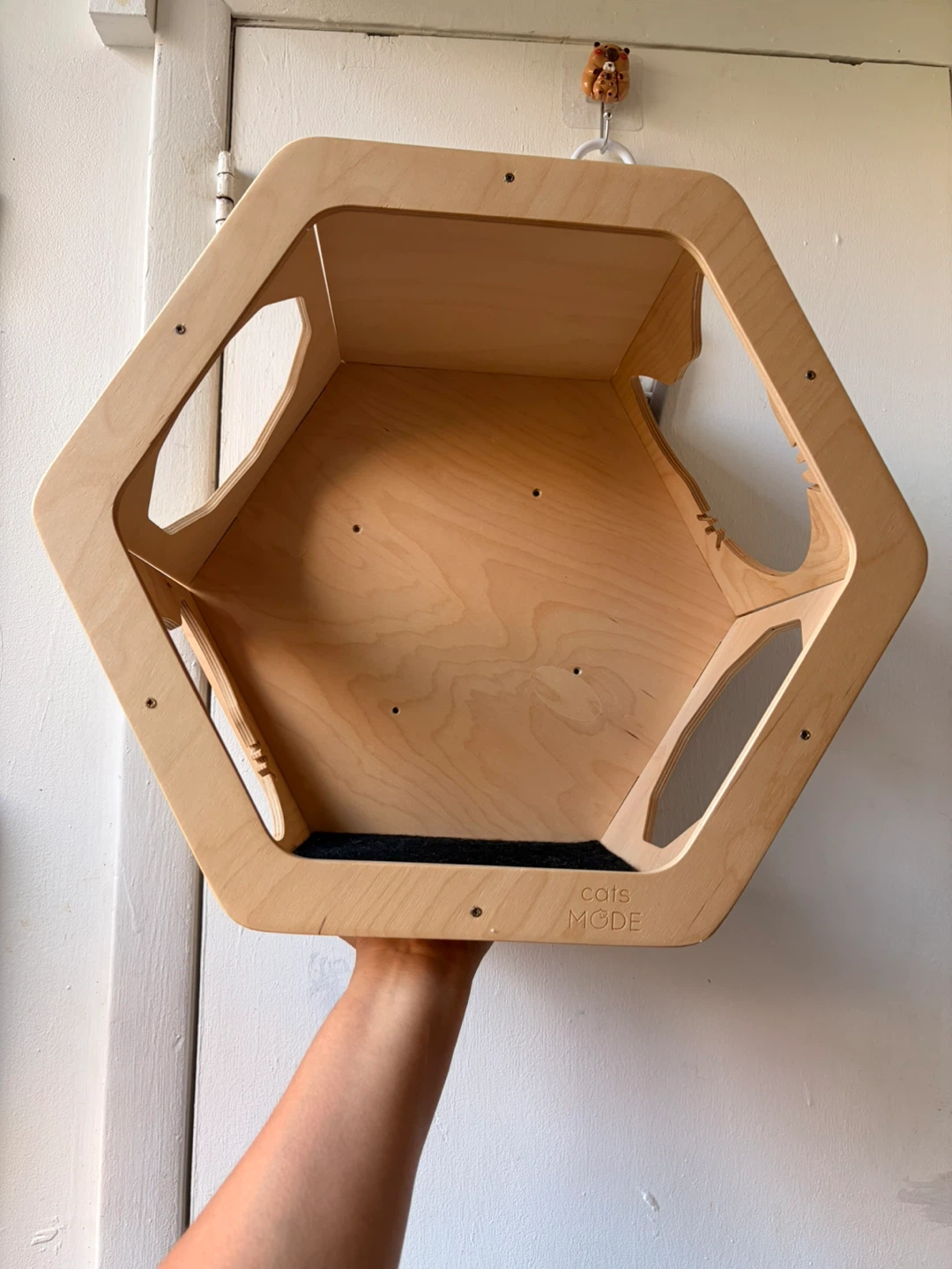 Cats mode Hexagon Wall Mounted Cat Wall, Real wood