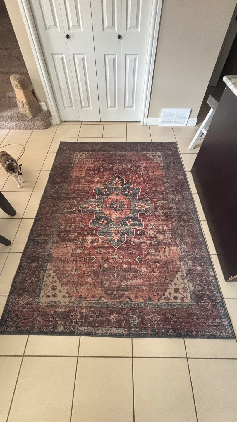 Persian Style Area Rug