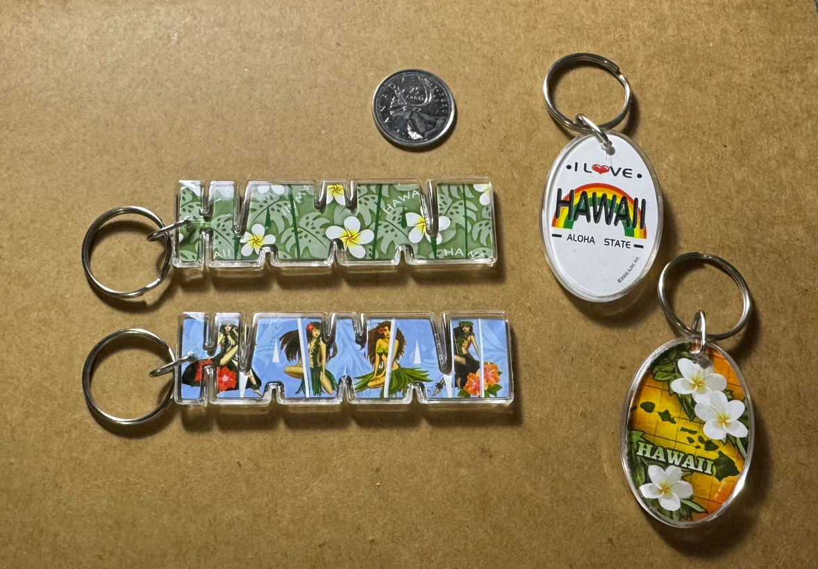 Hawaii Souvenir Keychains - Set of 4