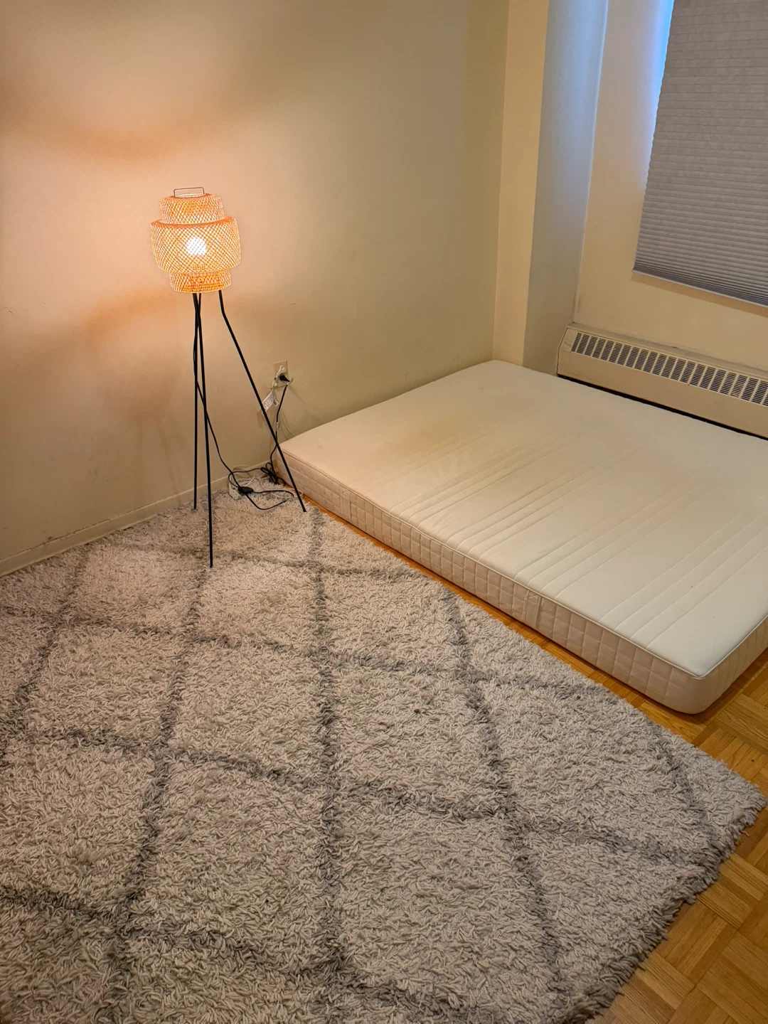 Queen size mattress, floor carpet and floor lamp sale for $180.