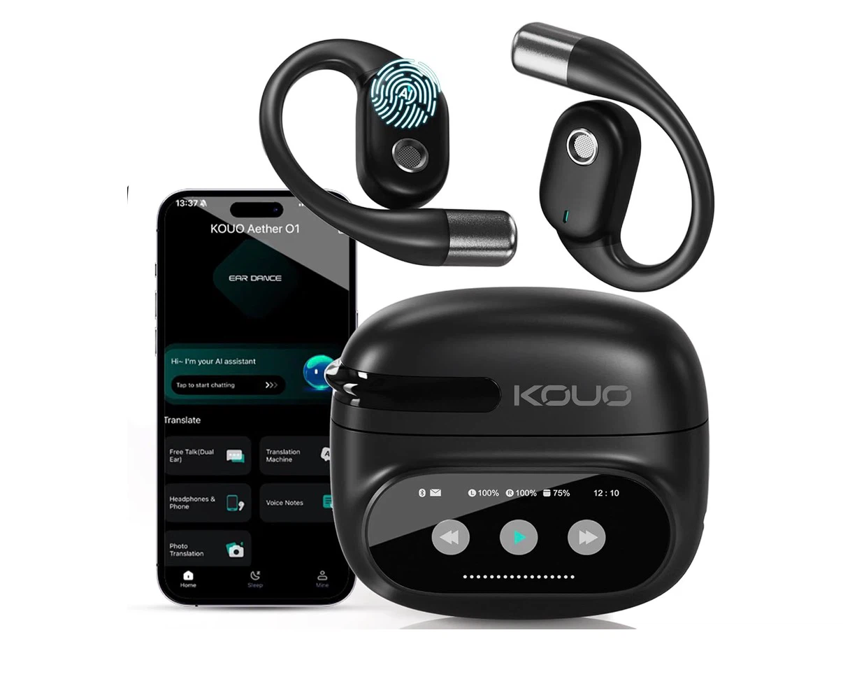 Brand New Translation Earbuds Real Time
