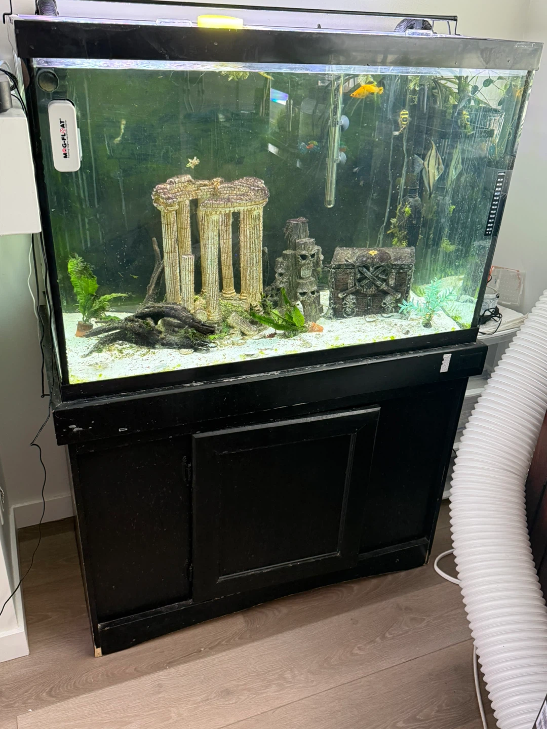 Aquarium and stand