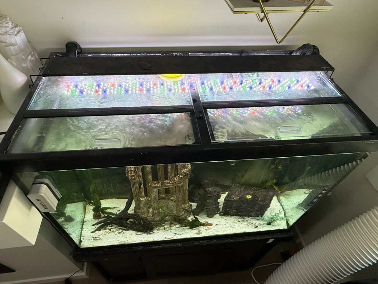 Aquarium and stand - photo 2