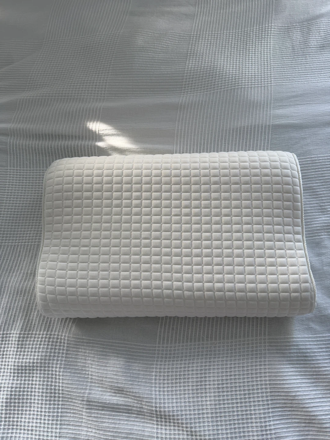 IKEA ROSENSKÄRM Pillow 33cm x 50cm
