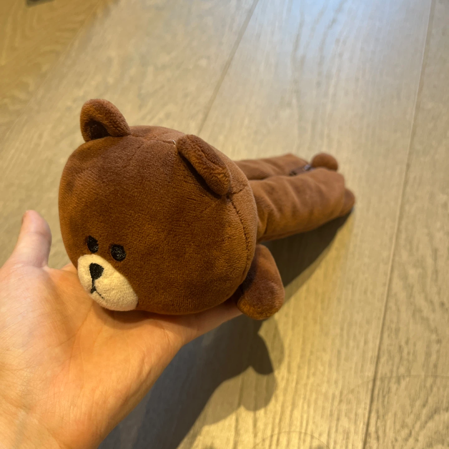Brown Bear Plush Pencil Case