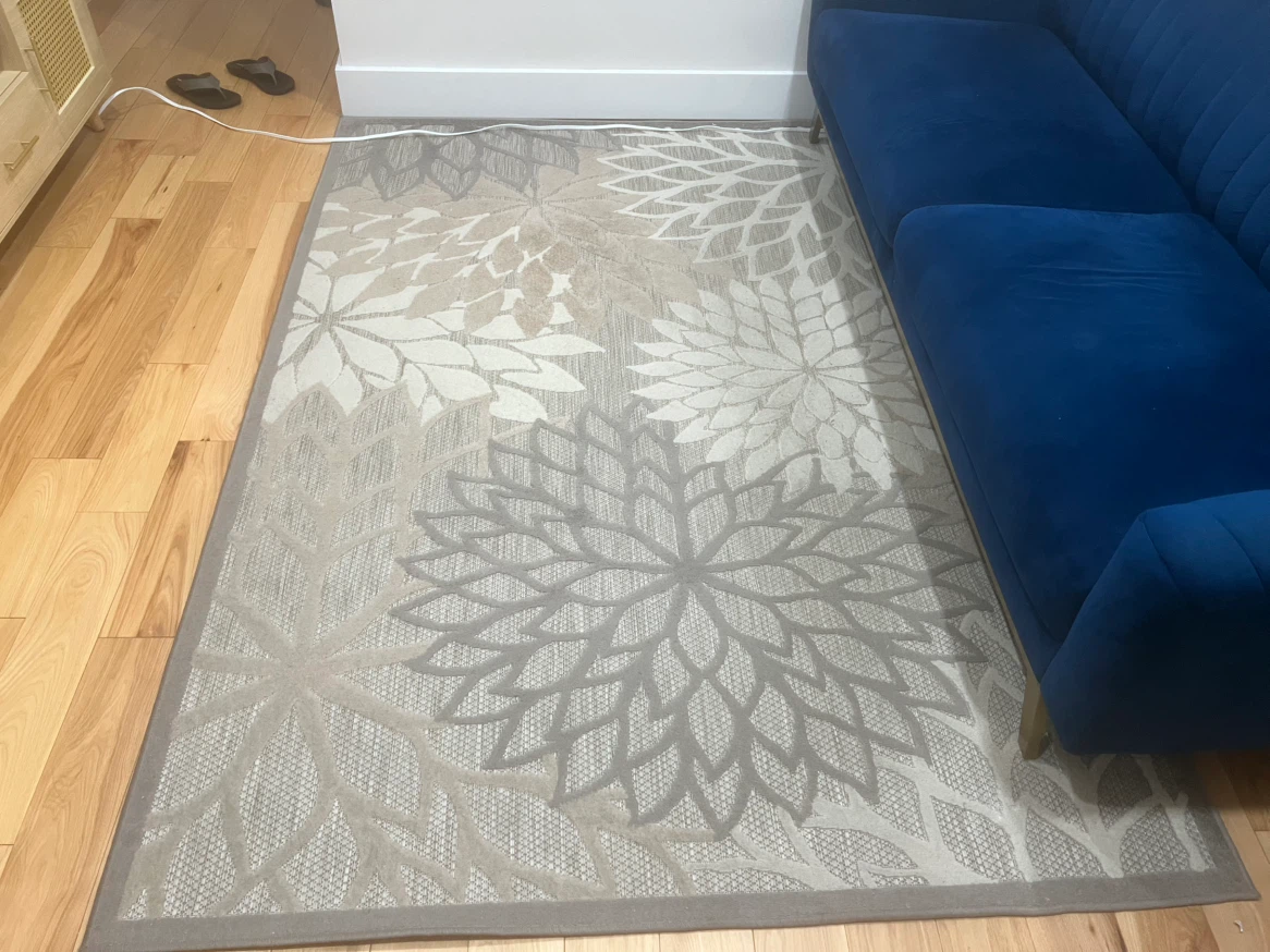 Area Rug and Runner Set