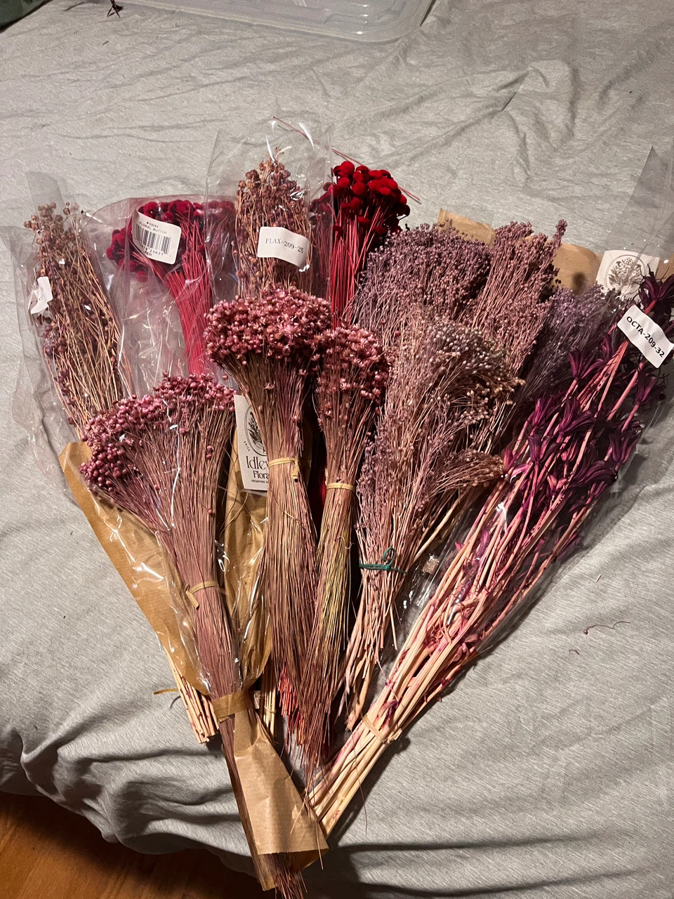 Dried Floral $10 a bunch