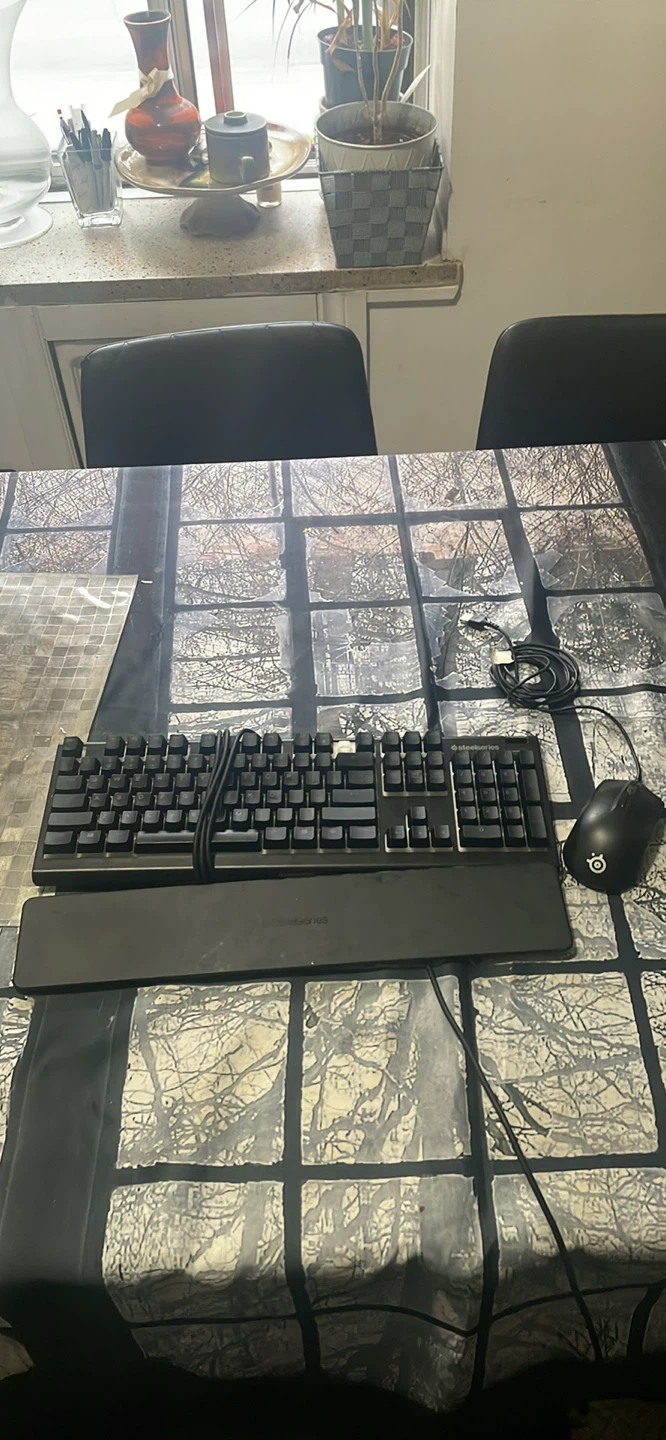 SteelSeries Gaming Keyboard and Mouse Combo