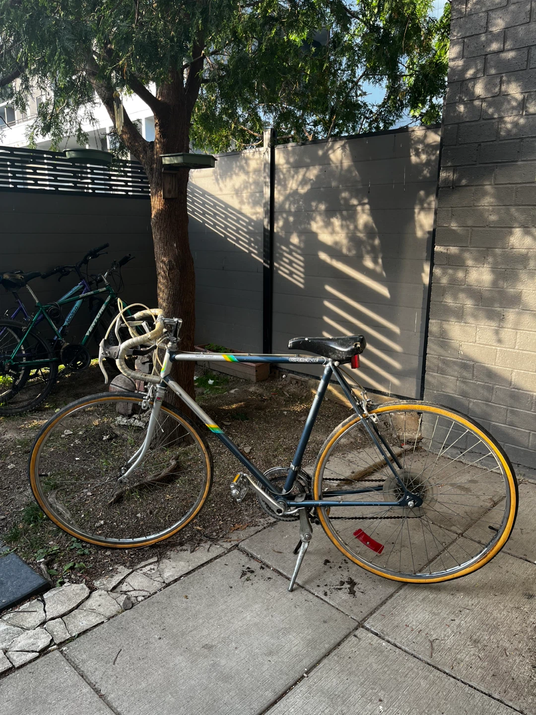 Twelve Speed Supercycle Race Bike