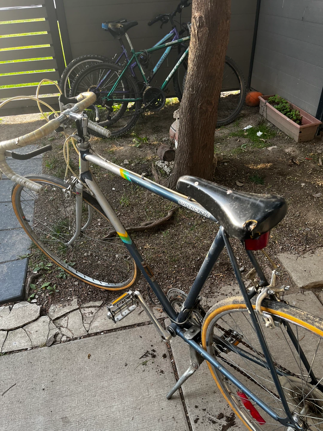 Twelve Speed Supercycle Race Bike - photo 3