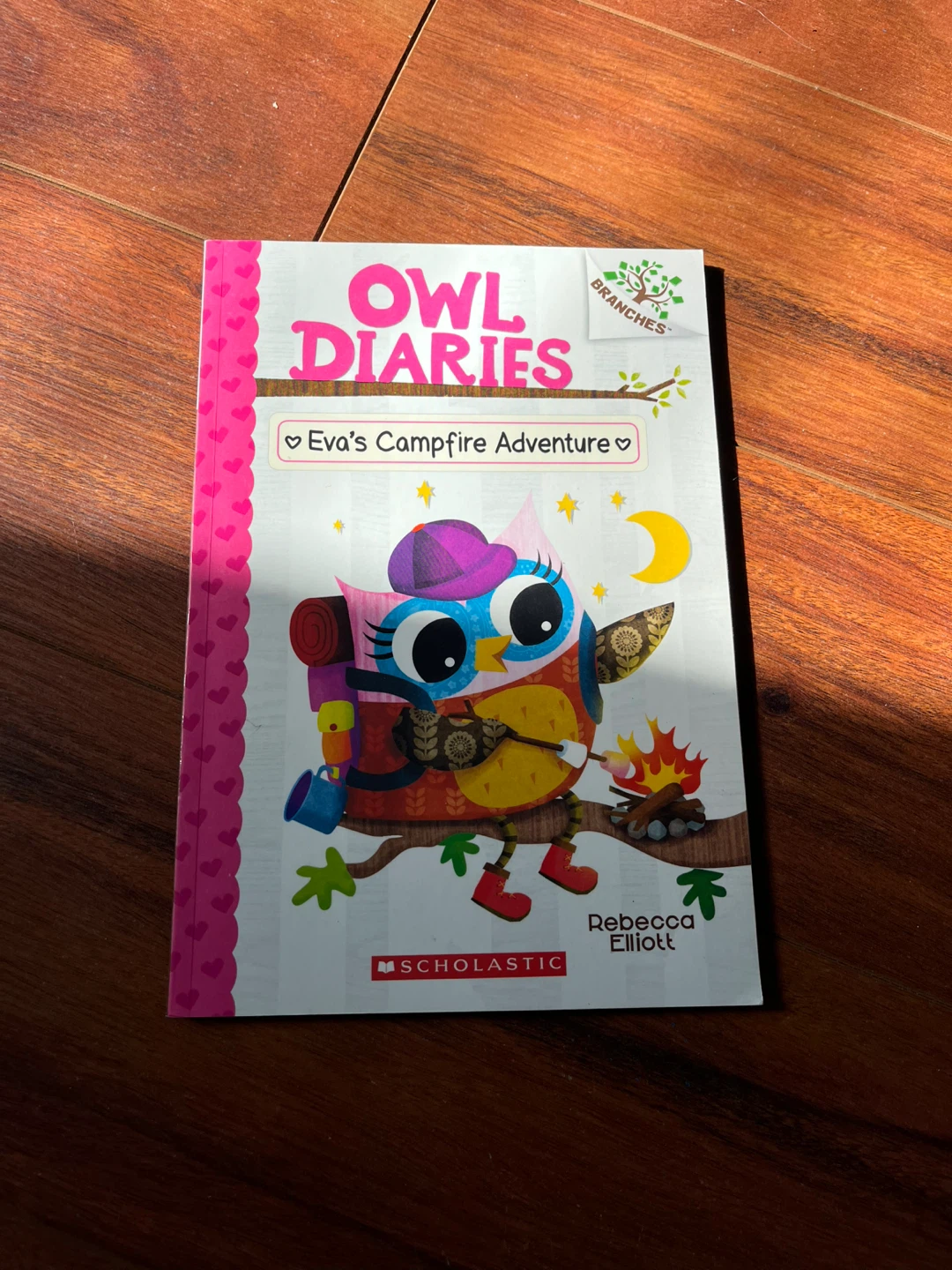 Disney Storybook Collection & Owl Diaries by Books - photo 3