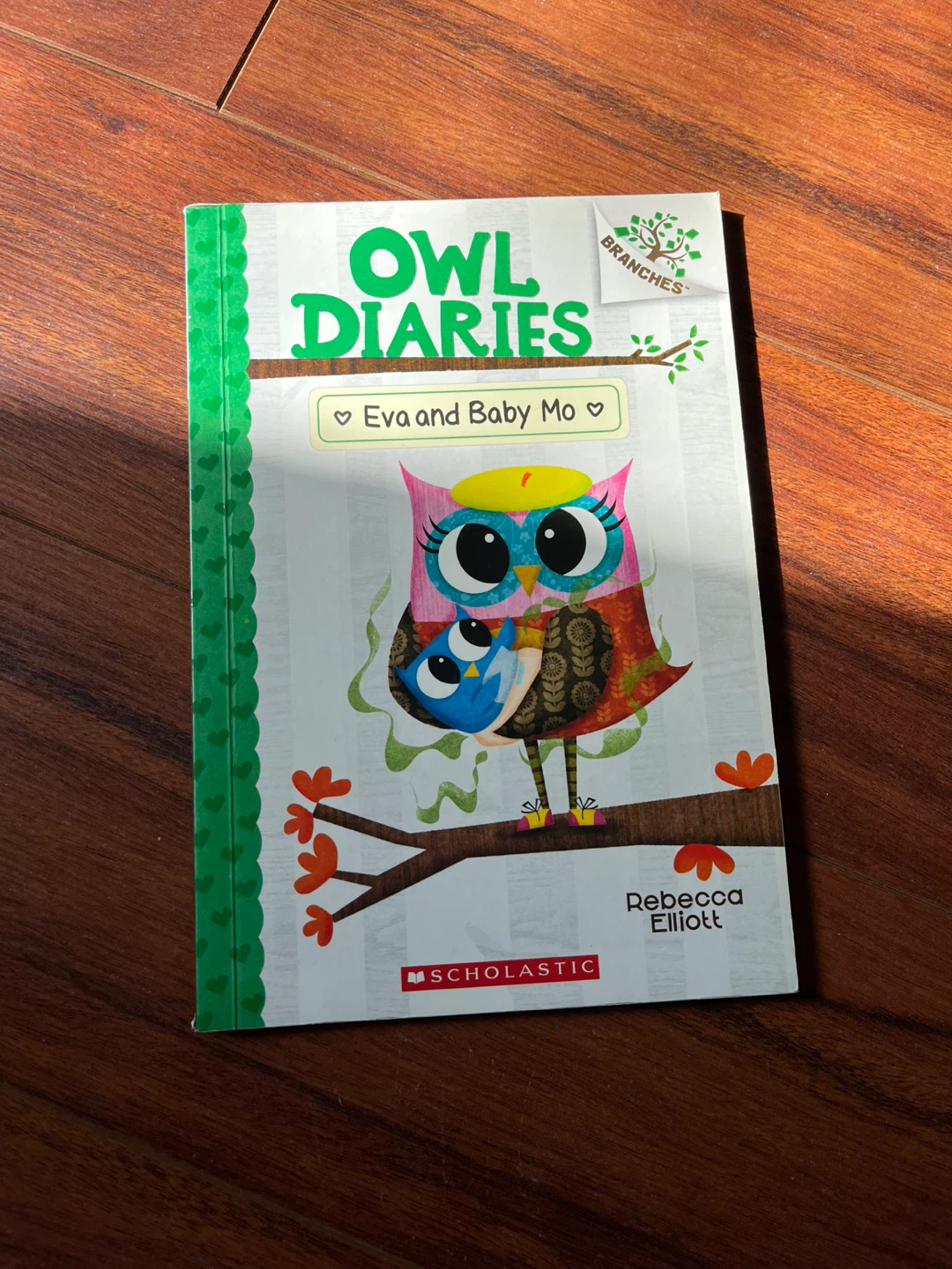 Disney Storybook Collection & Owl Diaries by Books - photo 4