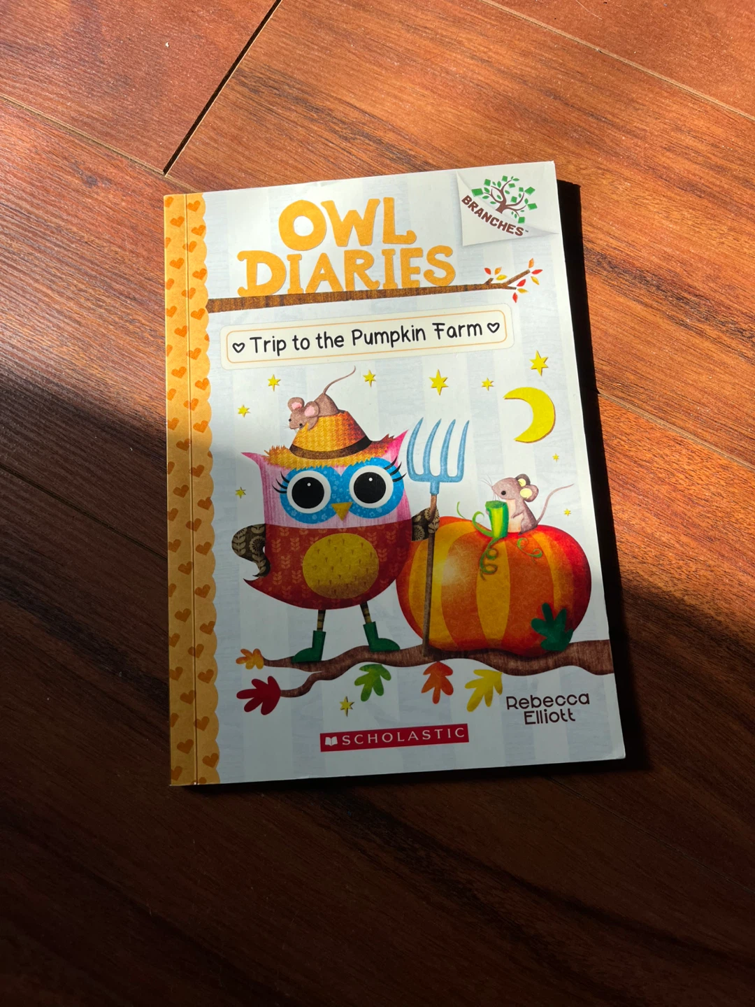 Disney Storybook Collection & Owl Diaries by Books - photo 5