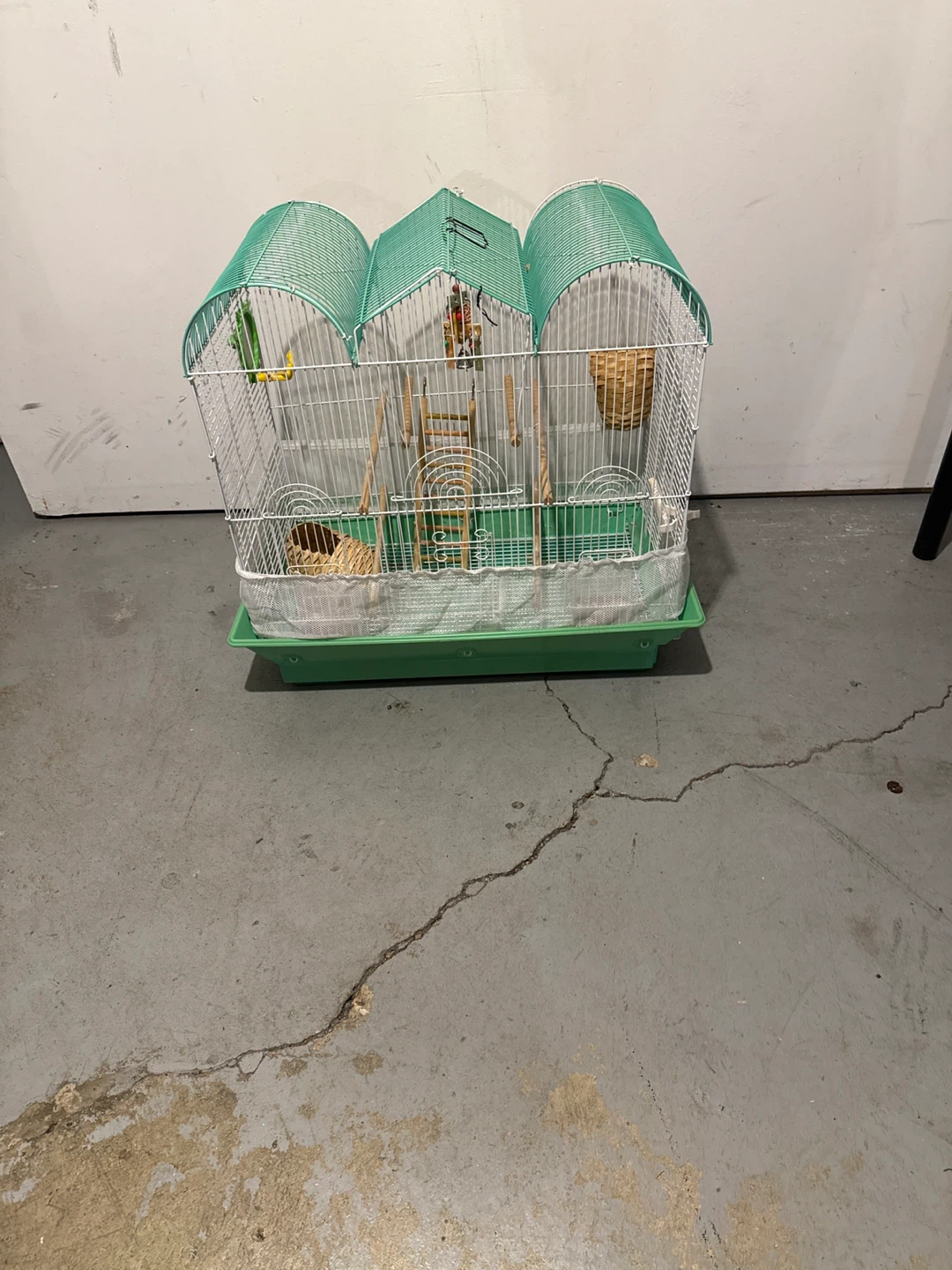 Green Bird Cage with Accessories (24”H,24”L,14”W)