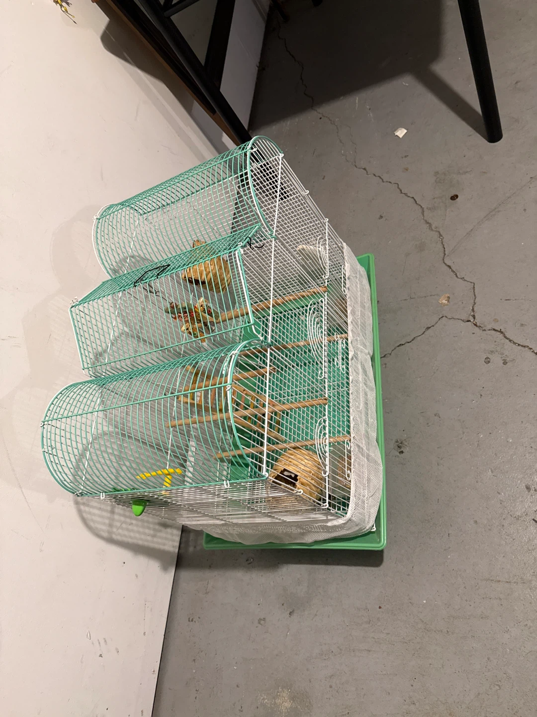 Green Bird Cage with Accessories (24”H,24”L,14”W) - photo 2