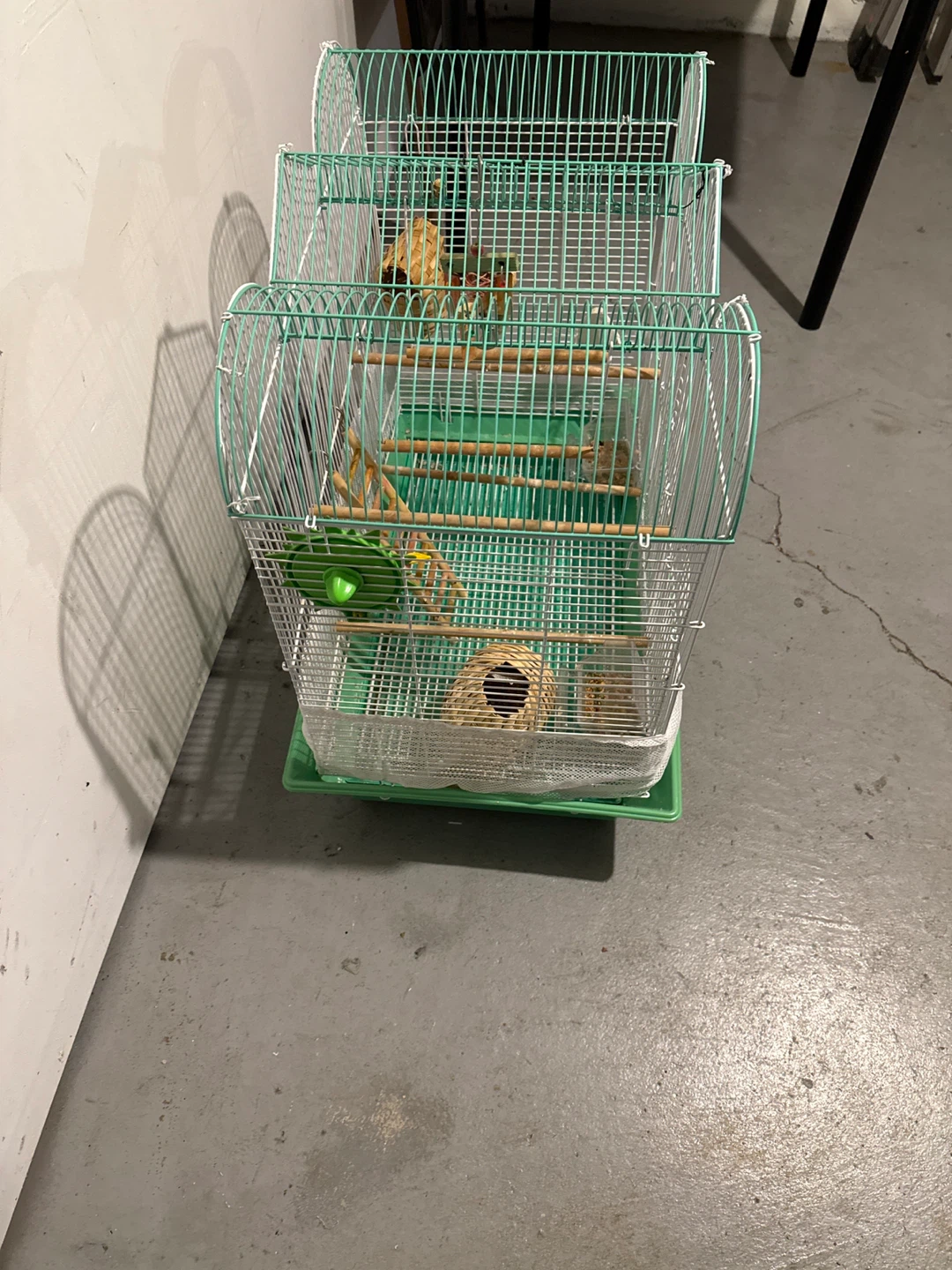 Green Bird Cage with Accessories (24”H,24”L,14”W) - photo 3
