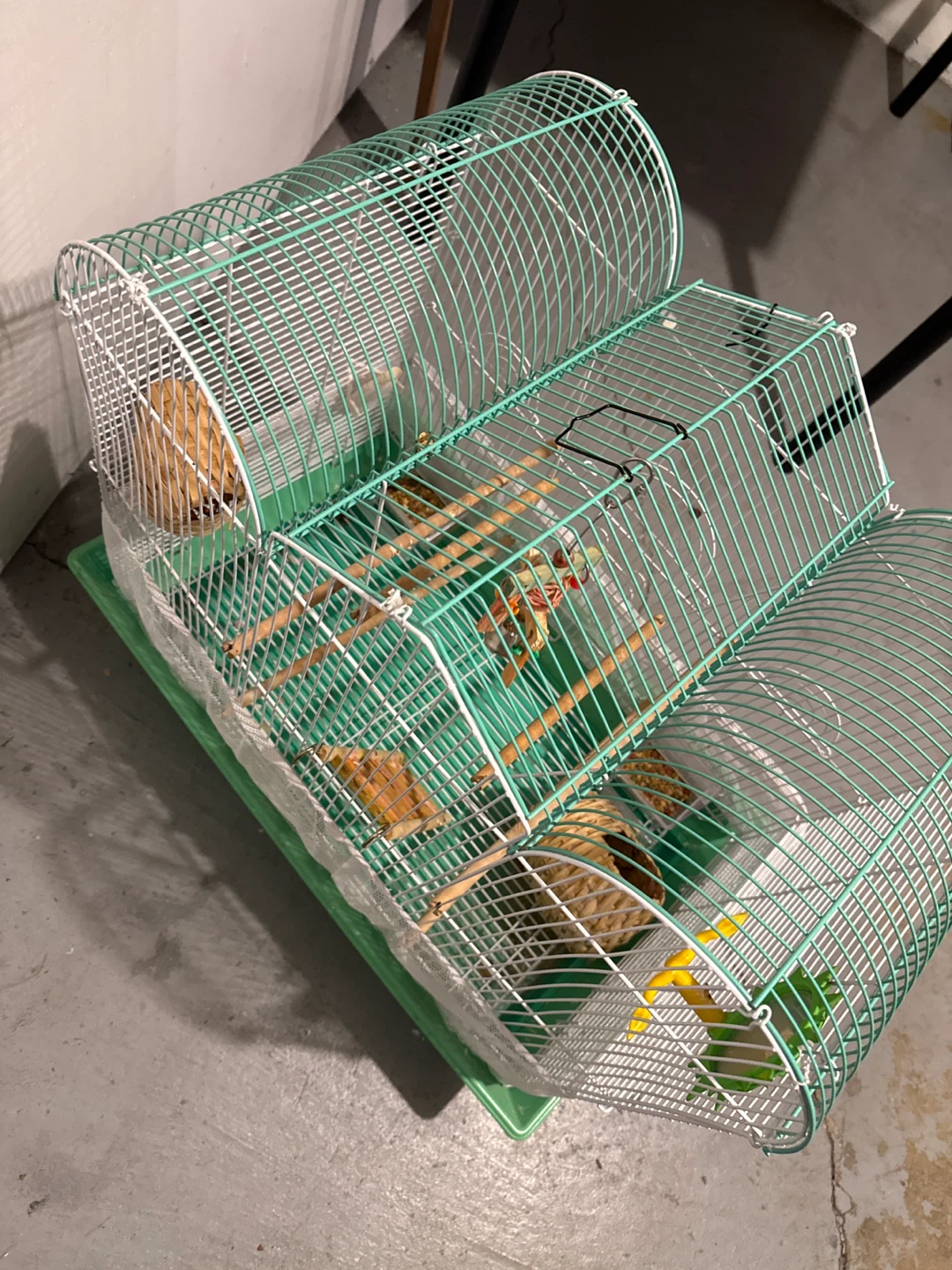 Green Bird Cage with Accessories (24”H,24”L,14”W) - photo 5