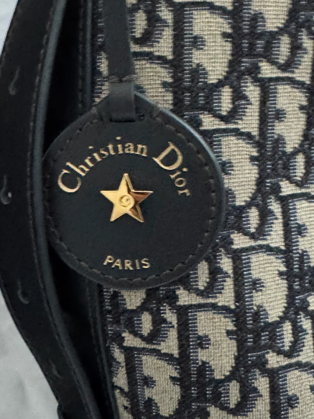 Pre-loved Christian Dior Canvas Oblique Bucket Bag - photo 3