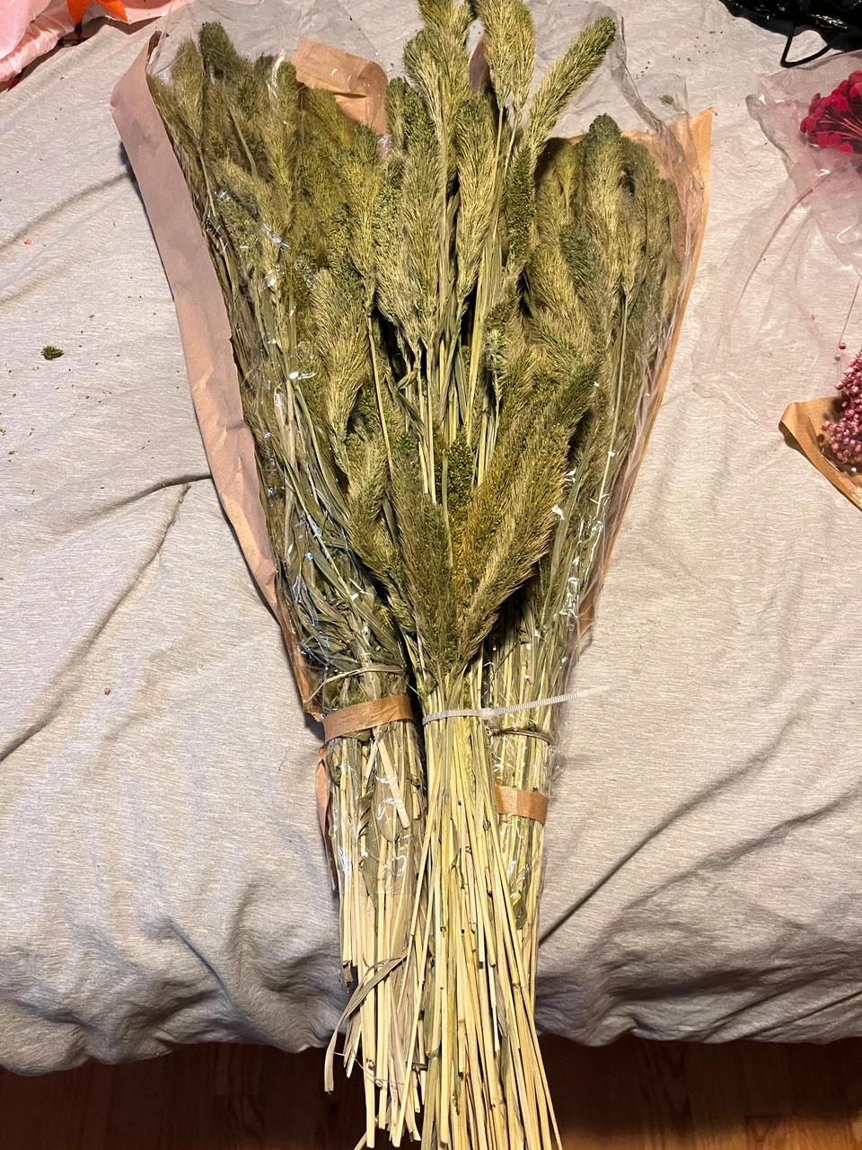 Dried Setaria $10 a bunch