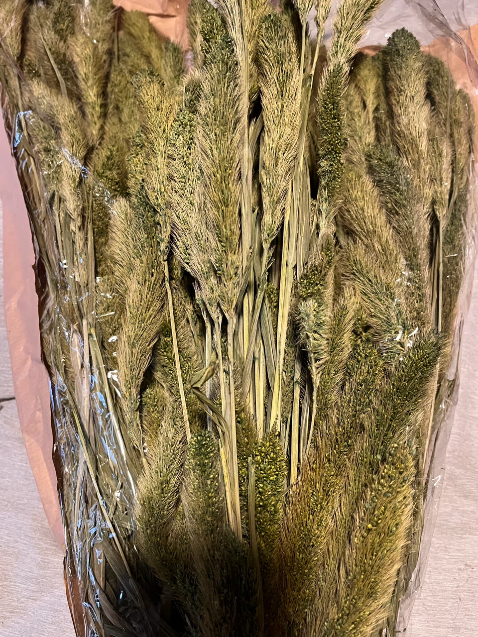 Dried Setaria $10 a bunch - photo 3