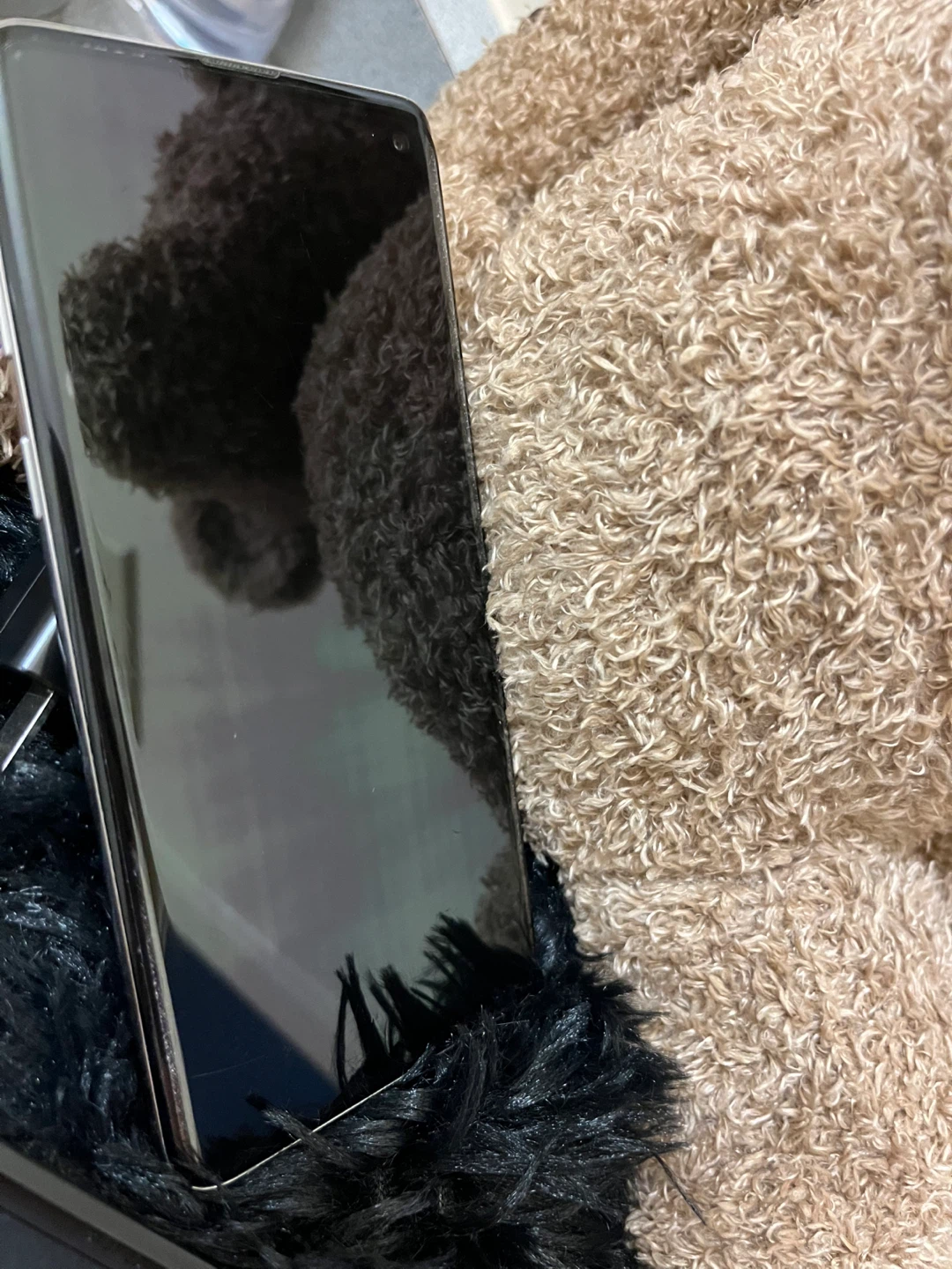 Samsung Galaxy S10 - photo 3