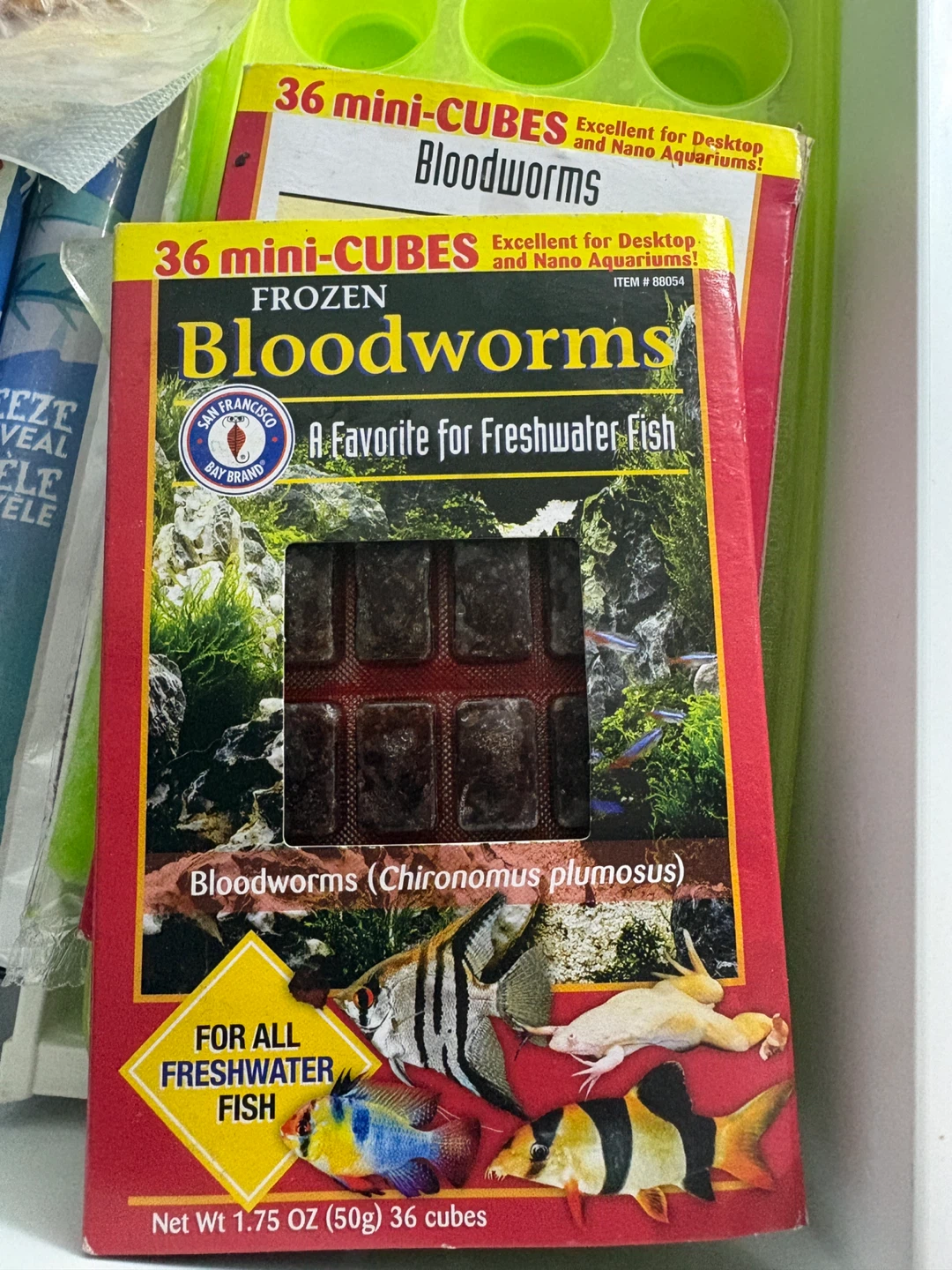 Frozen Bloodworms 36 Cubes