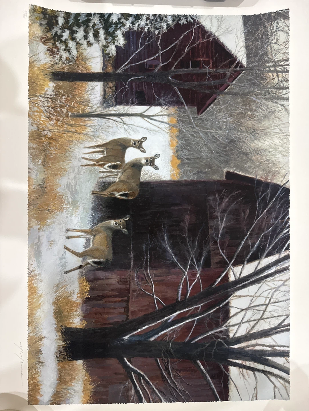 Signed Art Print of Deer by a Barn