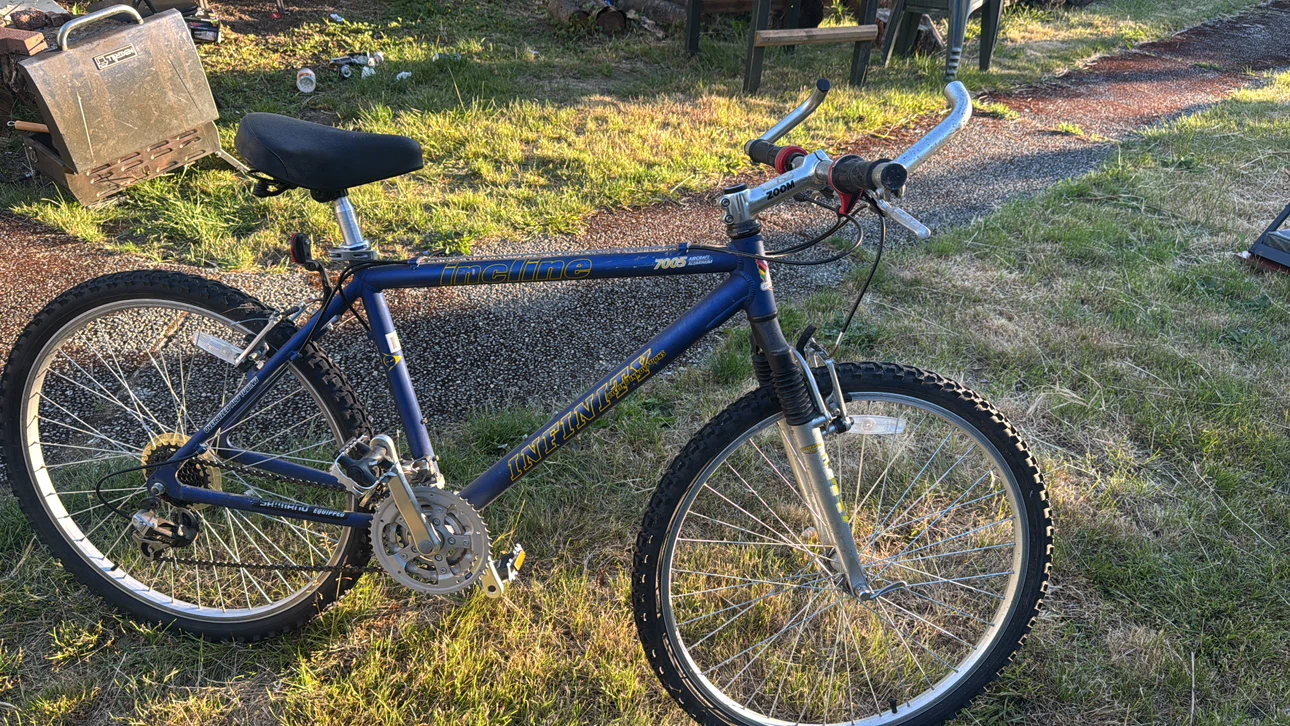 Infinity Incline Mountain Bike - photo 4