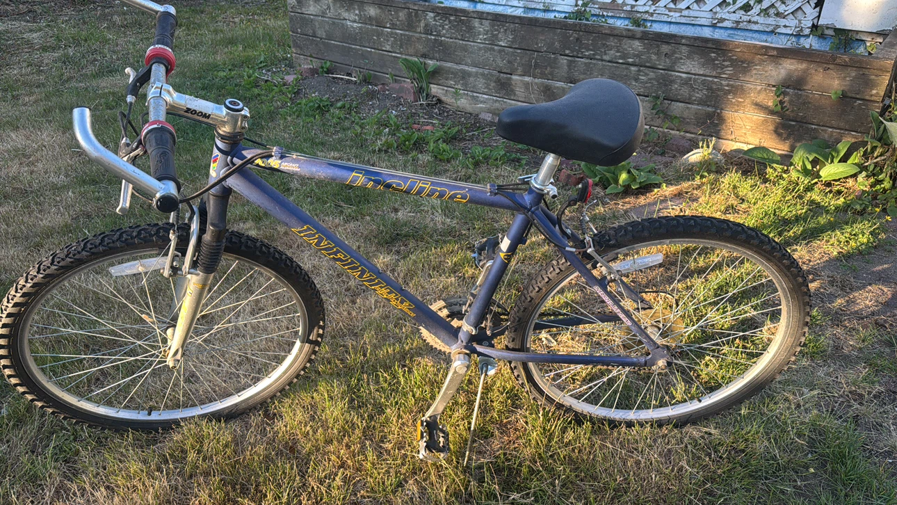 Infinity Incline Mountain Bike - photo 5