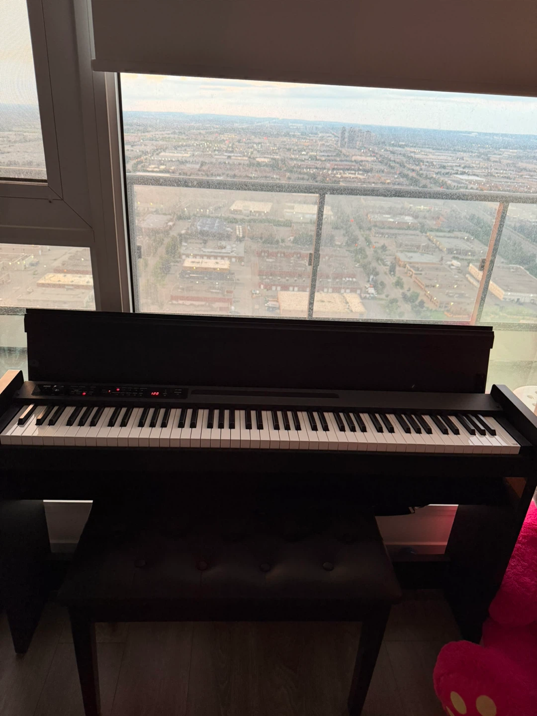 Korg LP-380 Digital Piano - photo 4