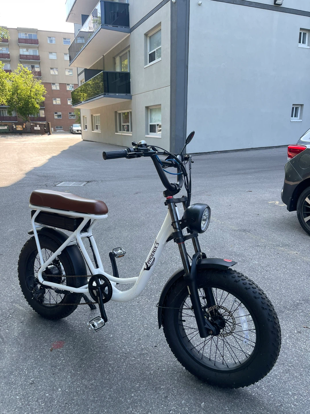 Phoenix Fat Tire Electric Bike