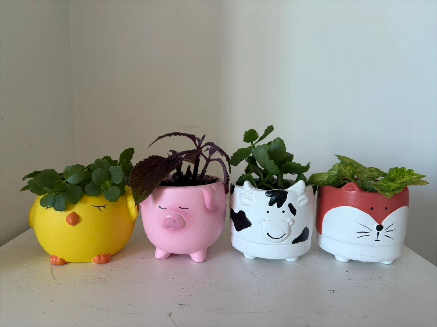 Set of 4 Cute Animal Planters