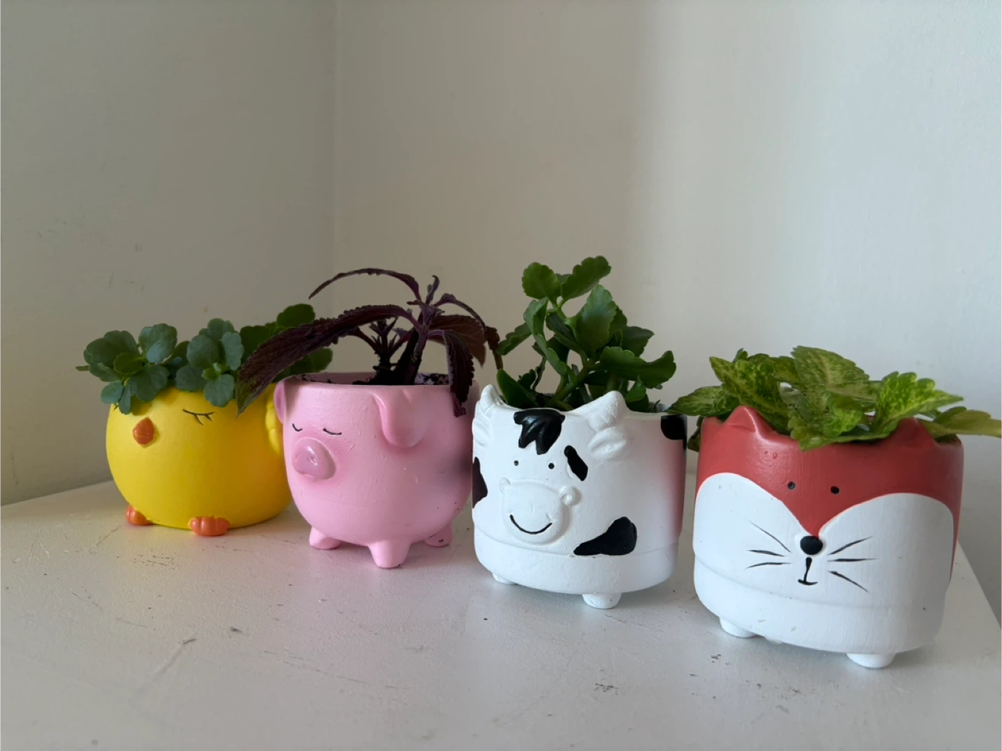 Set of 4 Cute Animal Planters - photo 2
