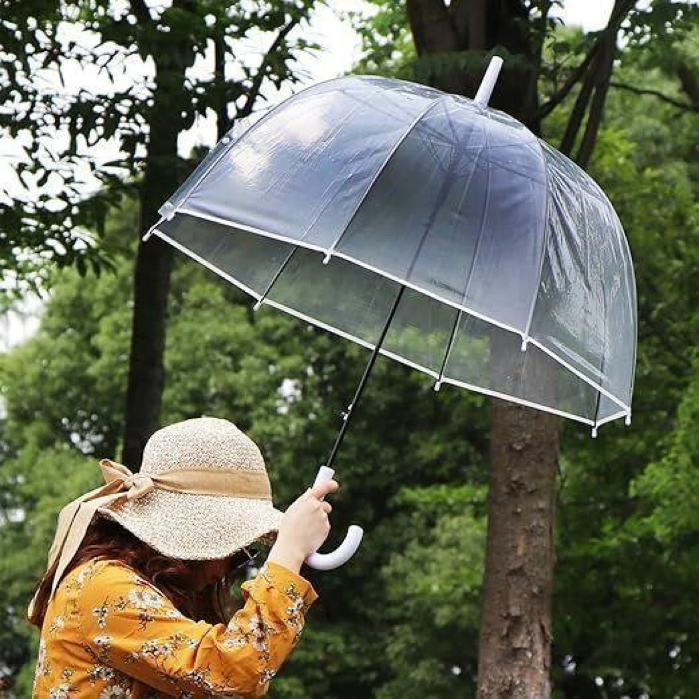 Set of 2 Clear Bubble Umbrellas with White Handles