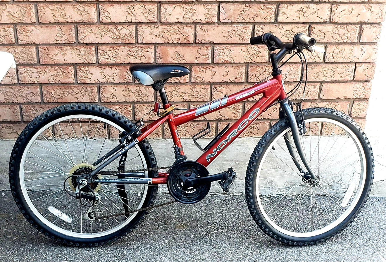 Norco Hornet Mountain Bike