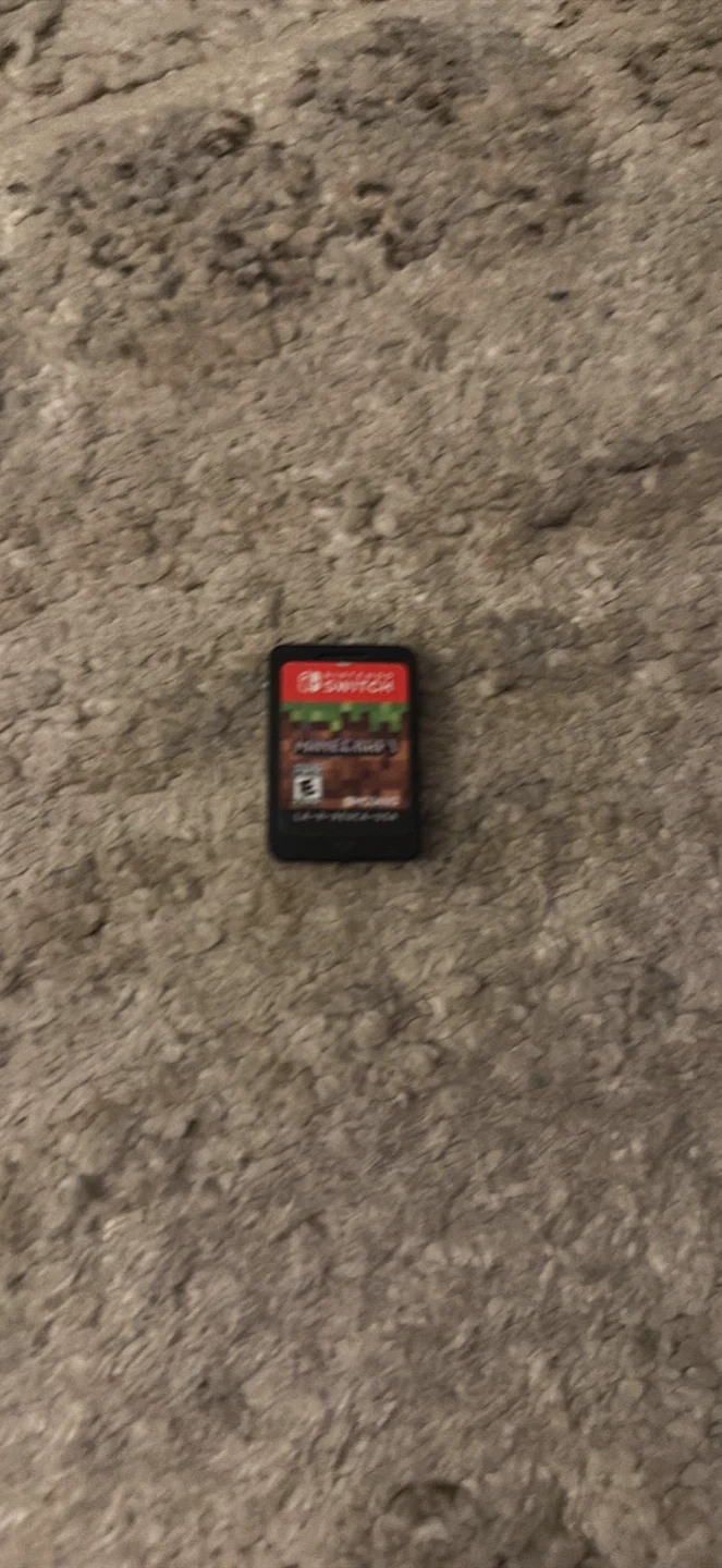 Nintendo Switch Game - Minecraft