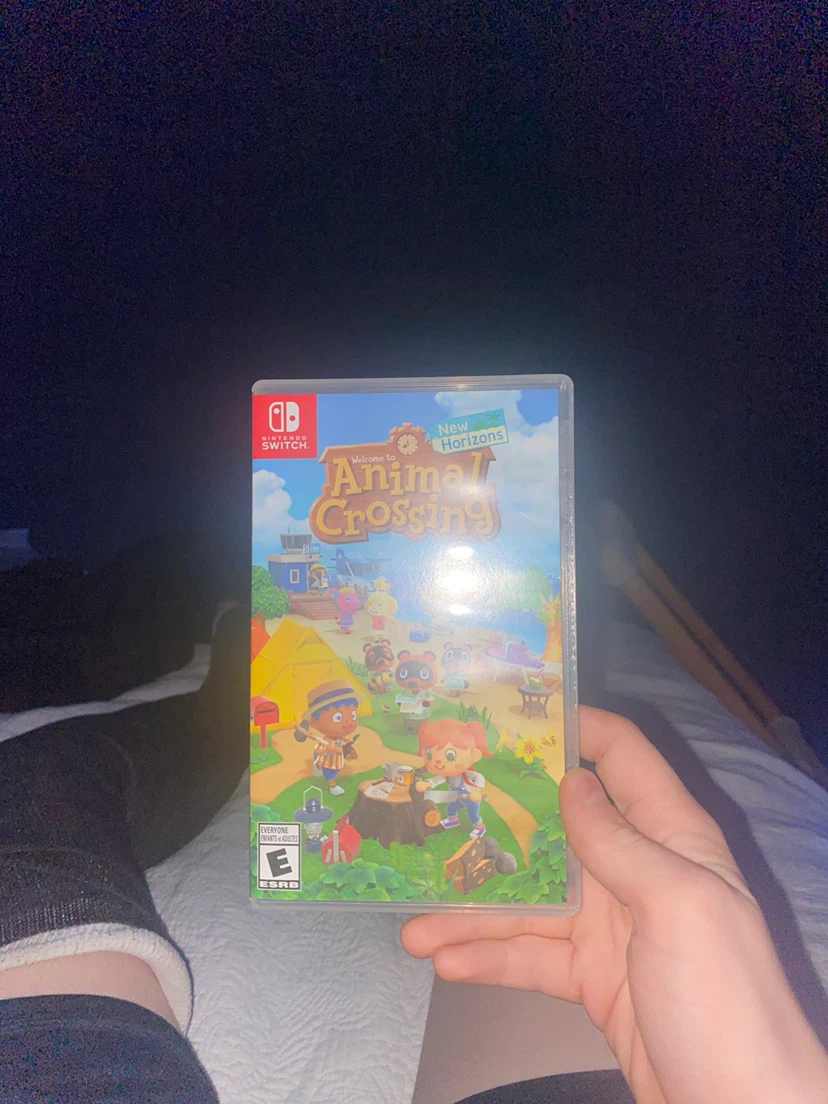 Nintendo Switch Animal Crossing: New Horizons Game