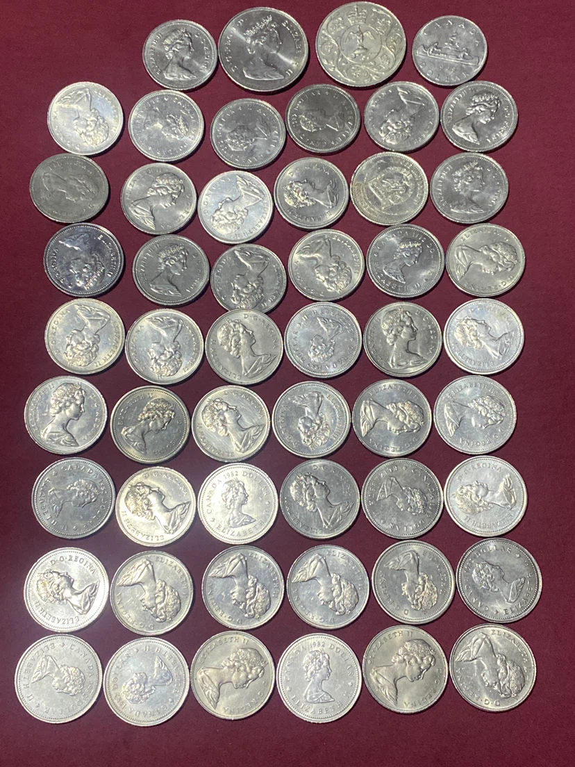 Collection of Canadian 1 dolars - photo 5