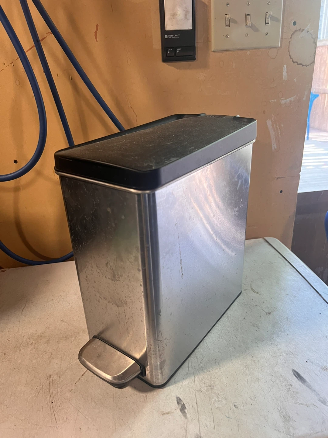 Stainless Steel Pedal Trash Can with Liner