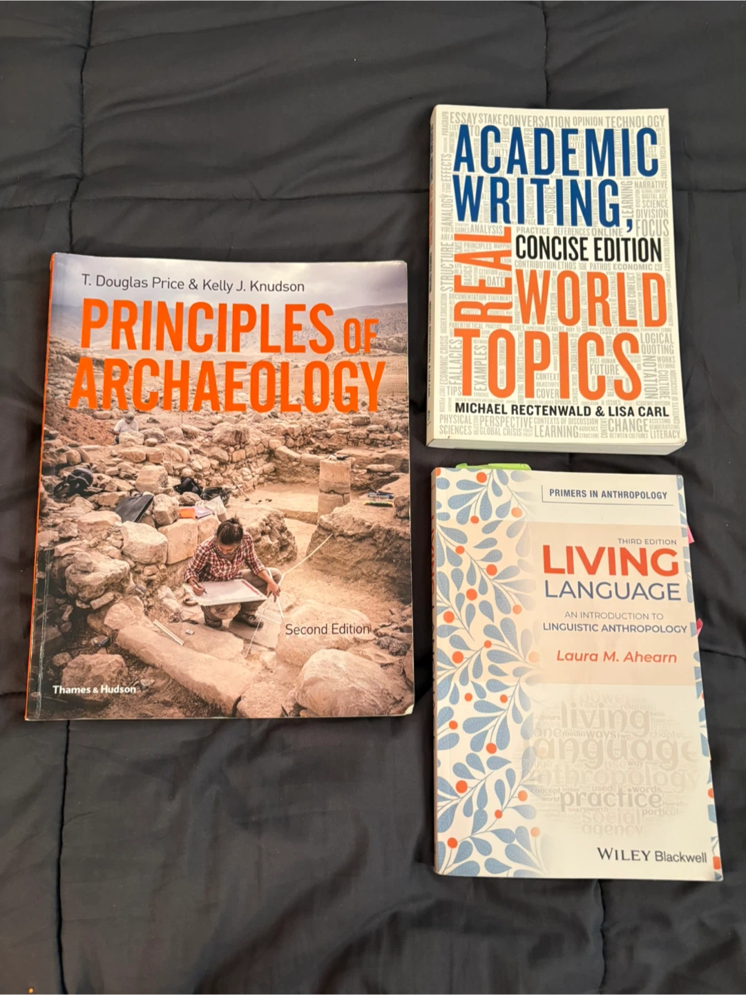 Collection of Academic & Language Textbooks - photo 2
