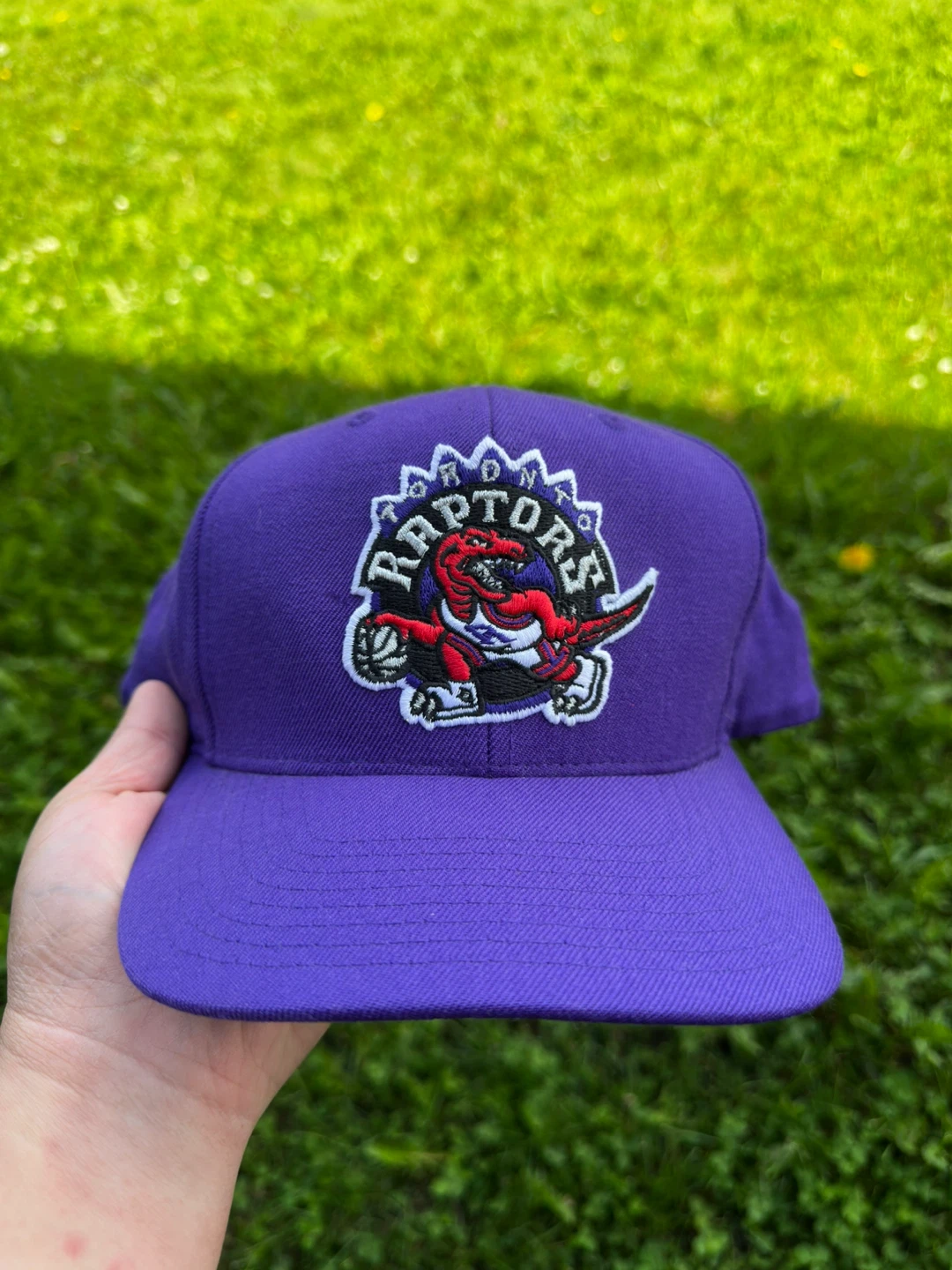 Mitchell & Ness Toronto Raptors Cap