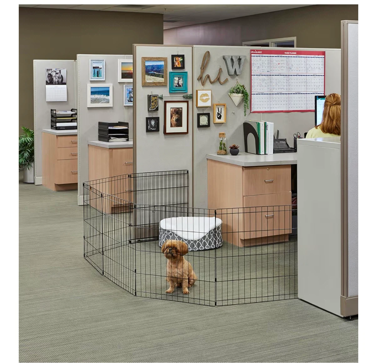 Exercise Dog Pen - photo 2